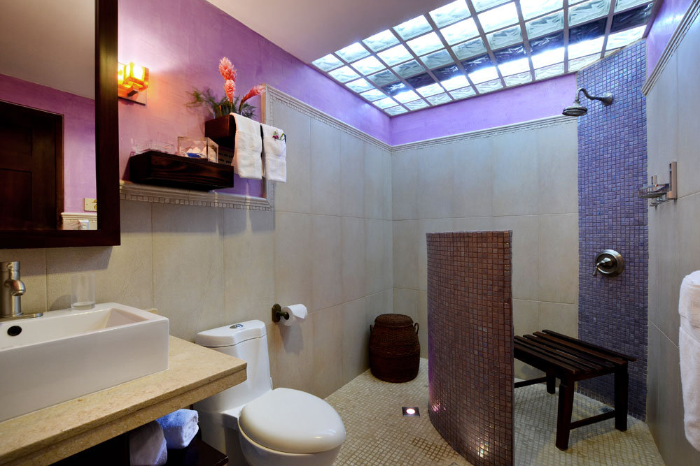 suite guarumos